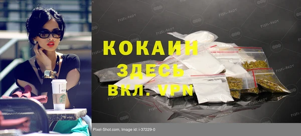шишки Алексеевка