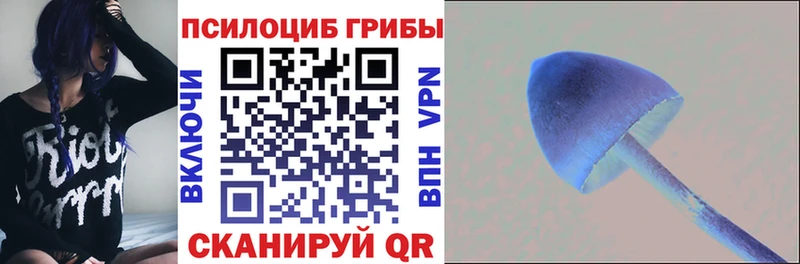 Псилоцибиновые грибы мухоморы  площадка Telegram  Всеволожск 
