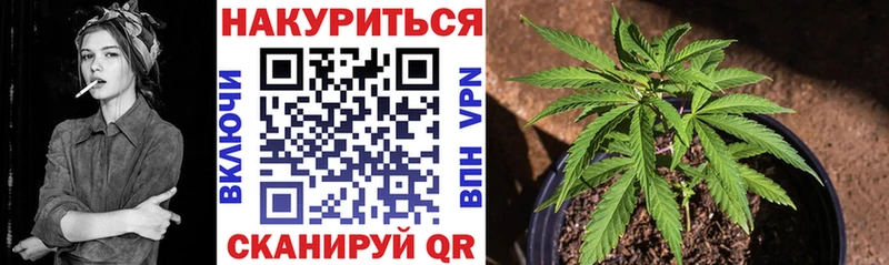 Марихуана AK-47  darknet телеграм  мега зеркало  Всеволожск  дарнет шоп 